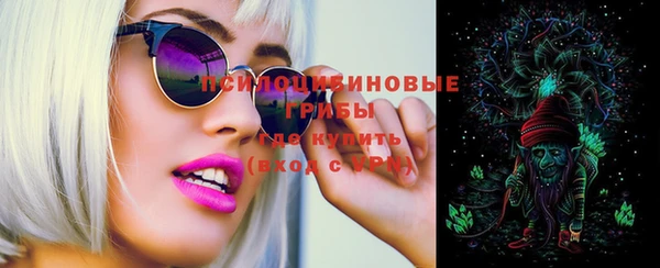 шишки Абдулино