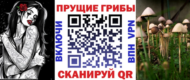 Галлюциногенные грибы Magic Shrooms  Алейск 